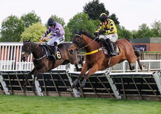Mike Mohan's 60th Birthday "NH" Maiden Hurdle