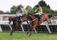 Mike Mohan's 60th Birthday "NH" Maiden Hurdle
