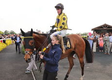 Mike Mohan's 60th Birthday "NH" Maiden Hurdle