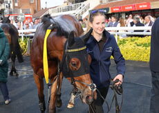 Mike Mohan's 60th Birthday "NH" Maiden Hurdle