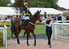 Head In Front Betting Handicap Hurdle