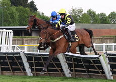 Head In Front Betting Handicap Hurdle