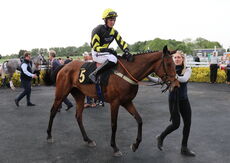 Head In Front Betting Handicap Hurdle
