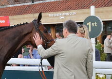 Head In Front Betting Handicap Hurdle