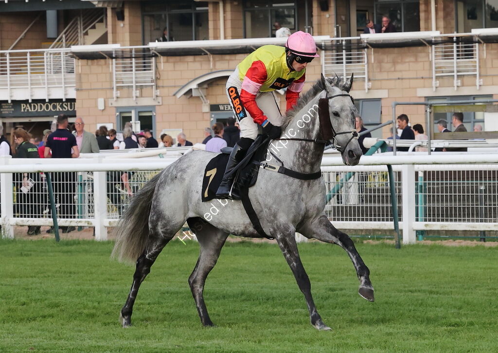 Lewis Badges 1832 Handicap Hurdle