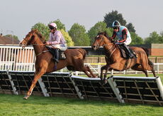 Lewis Badges 1832 Handicap Hurdle