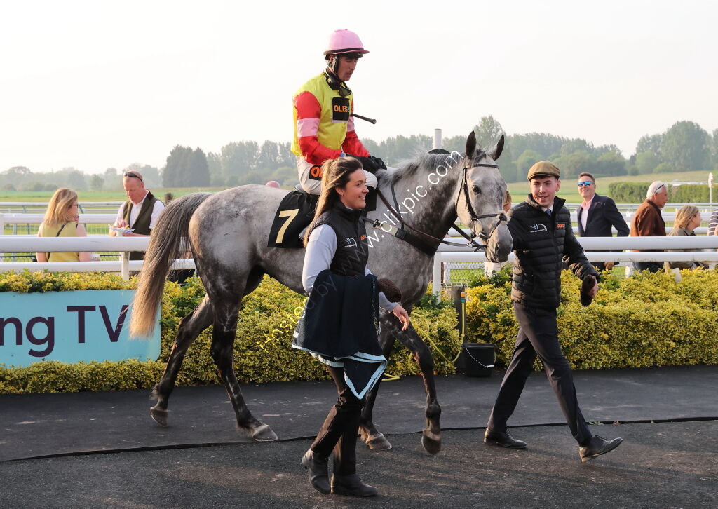 Lewis Badges 1832 Handicap Hurdle