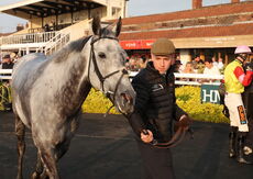 Lewis Badges 1832 Handicap Hurdle