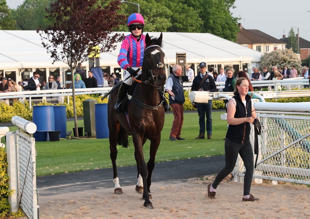 Jockey Club 0-110 Rated Series Final Open Hunters Chase