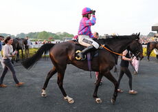 Jockey Club 0-110 Rated Series Final Open Hunters Chase