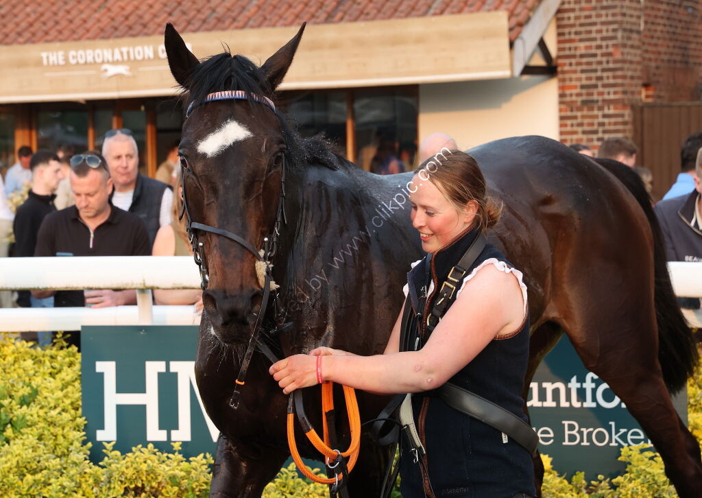 Jockey Club 0-110 Rated Series Final Open Hunters Chase