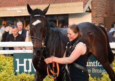 Jockey Club 0-110 Rated Series Final Open Hunters Chase