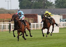 Claverdon FC Open NH Flat Race