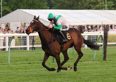Claverdon FC Open NH Flat Race