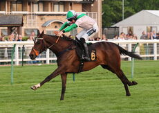 Claverdon FC Open NH Flat Race