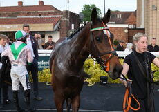 Claverdon FC Open NH Flat Race