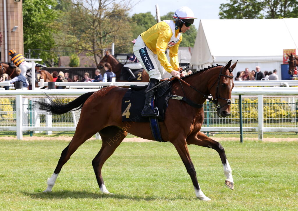 Hazelton Mountford Insurance Brokers Maiden Hurdle