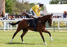 Hazelton Mountford Insurance Brokers Maiden Hurdle