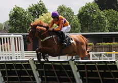 Hazelton Mountford Insurance Brokers Maiden Hurdle