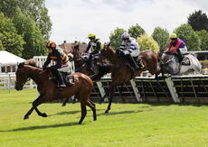 Hazelton Mountford Insurance Brokers Maiden Hurdle