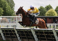 Hazelton Mountford Insurance Brokers Maiden Hurdle
