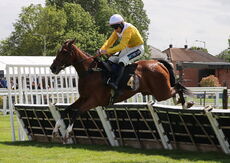 Hazelton Mountford Insurance Brokers Maiden Hurdle