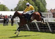 Hazelton Mountford Insurance Brokers Maiden Hurdle