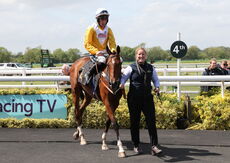 Hazelton Mountford Insurance Brokers Maiden Hurdle