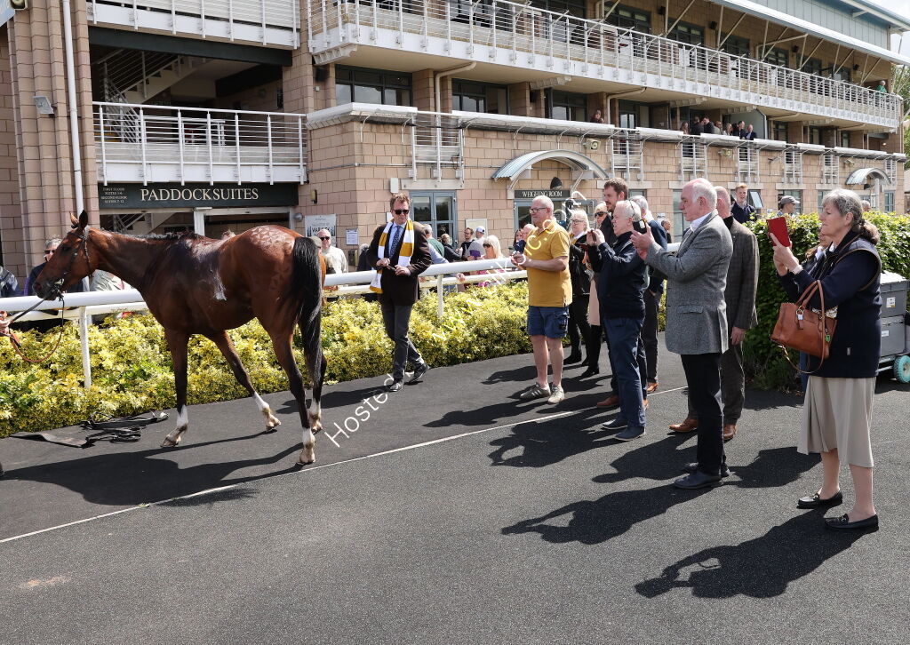Hazelton Mountford Insurance Brokers Maiden Hurdle