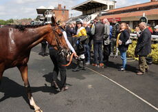 Hazelton Mountford Insurance Brokers Maiden Hurdle