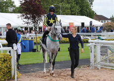 Logicor Grand Neighsional Handicap Chase
