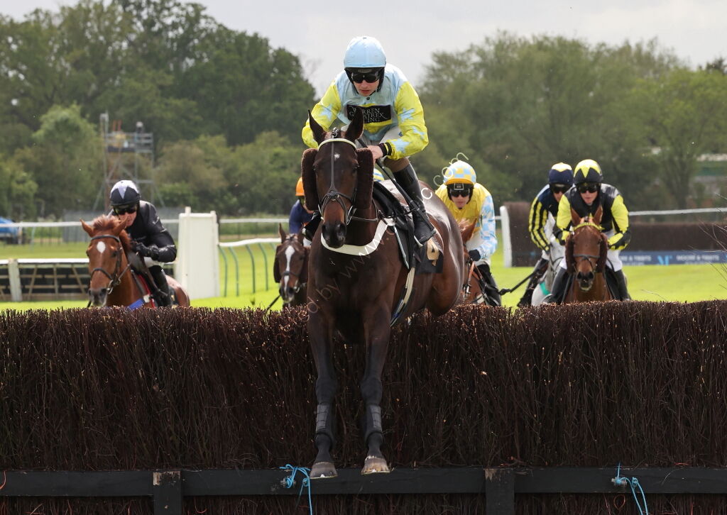 Logicor Grand Neighsional Handicap Chase
