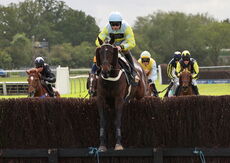 Logicor Grand Neighsional Handicap Chase