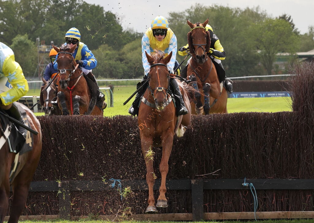 Logicor Grand Neighsional Handicap Chase