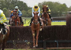 Logicor Grand Neighsional Handicap Chase