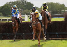 Logicor Grand Neighsional Handicap Chase