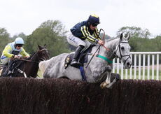 Logicor Grand Neighsional Handicap Chase