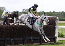 Logicor Grand Neighsional Handicap Chase
