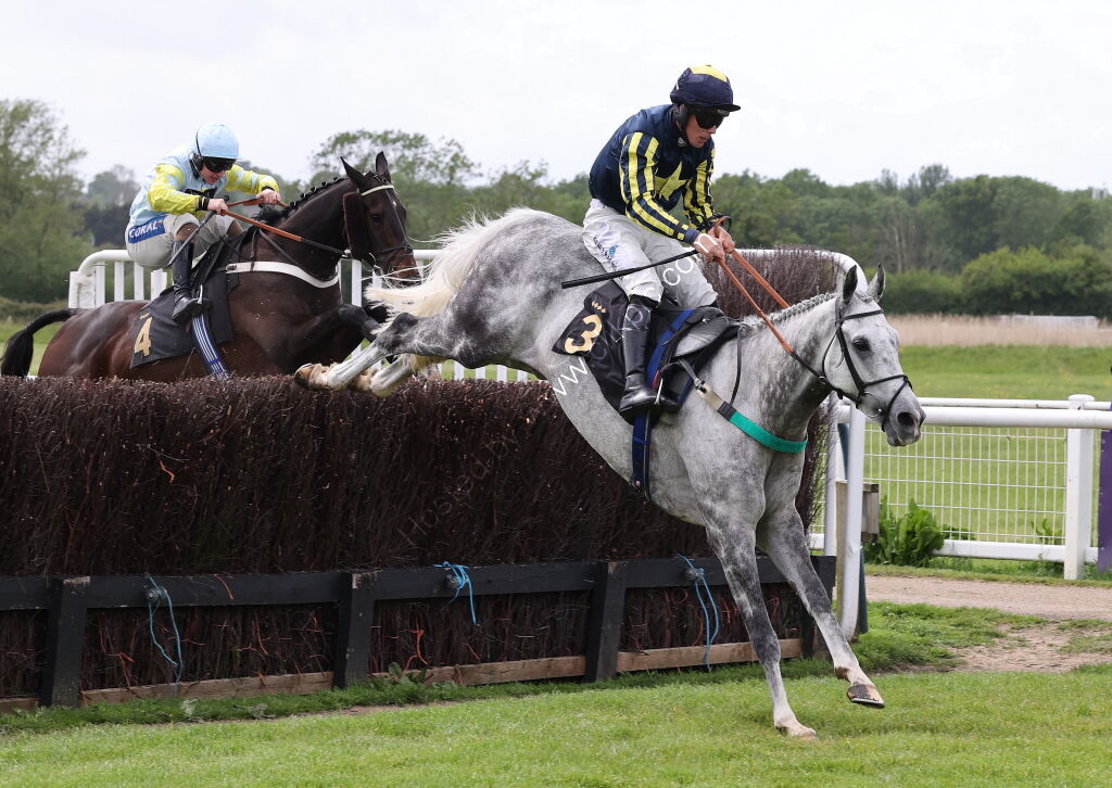 Logicor Grand Neighsional Handicap Chase