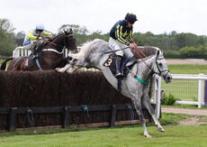 Logicor Grand Neighsional Handicap Chase
