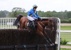 Logicor Grand Neighsional Handicap Chase