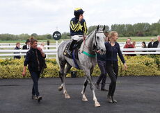 Logicor Grand Neighsional Handicap Chase