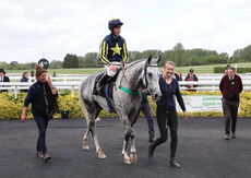 Logicor Grand Neighsional Handicap Chase
