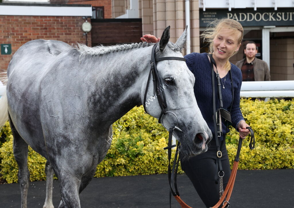Logicor Grand Neighsional Handicap Chase