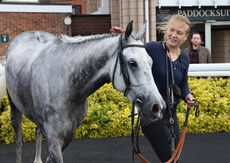 Logicor Grand Neighsional Handicap Chase
