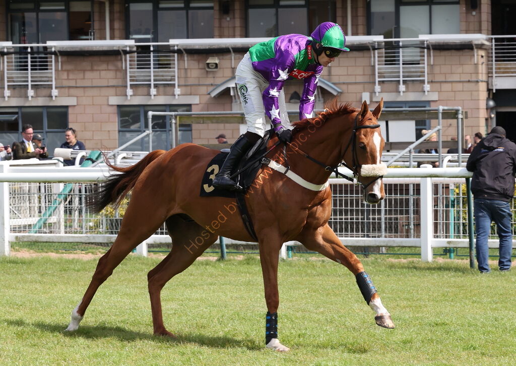 Logicor Cup Handicap Chase