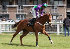 Logicor Cup Handicap Chase
