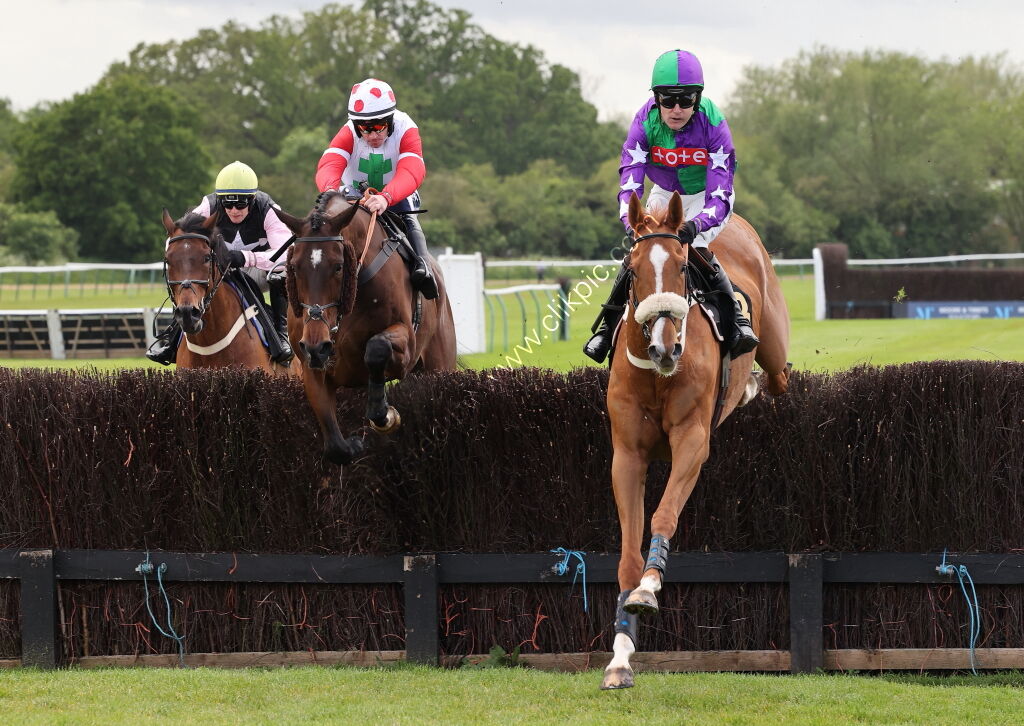 Logicor Cup Handicap Chase