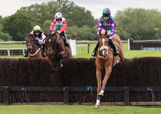 Logicor Cup Handicap Chase