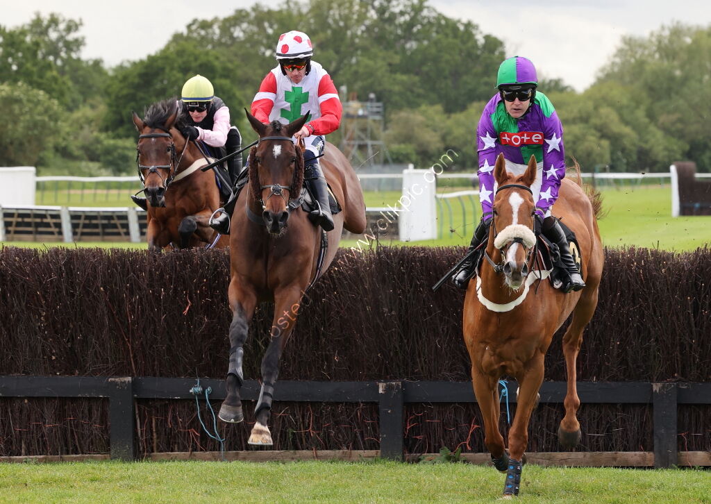 Logicor Cup Handicap Chase